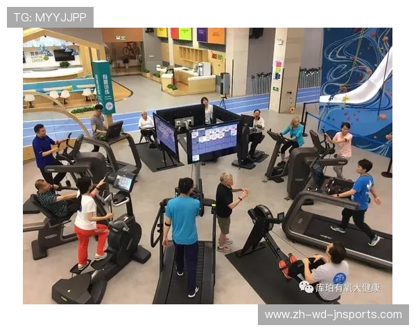 飞鸟有氧运动器材三合一智能控制系统