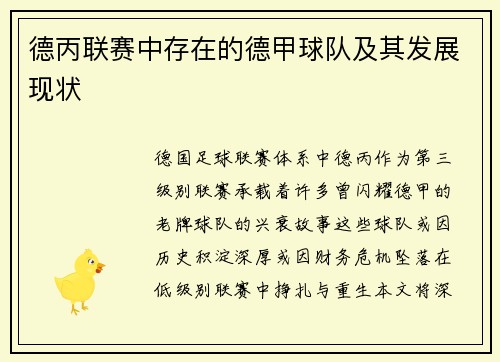 德丙联赛中存在的德甲球队及其发展现状